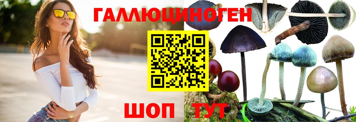 Псилоцибиновые грибы мицелий  Вход с VPN  наркошоп  Михайловка 