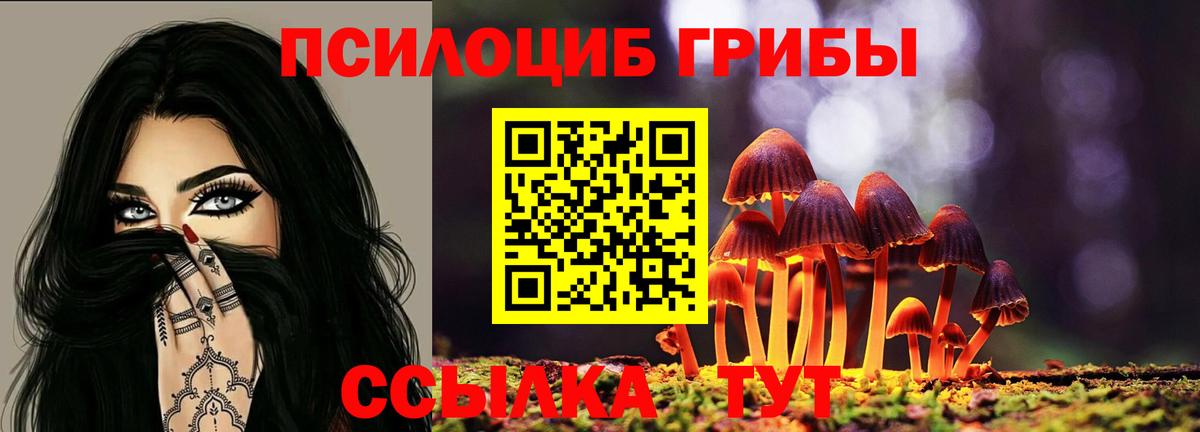 Псилоцибиновые грибы Cubensis Михайловка